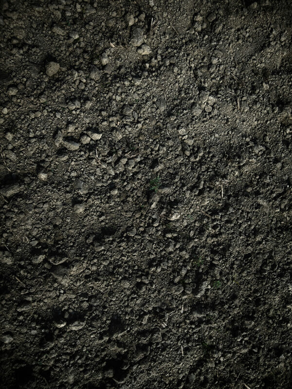 Dark soil texture