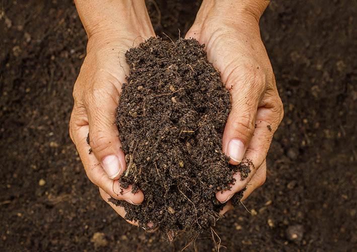 Hands holding a handful of soil