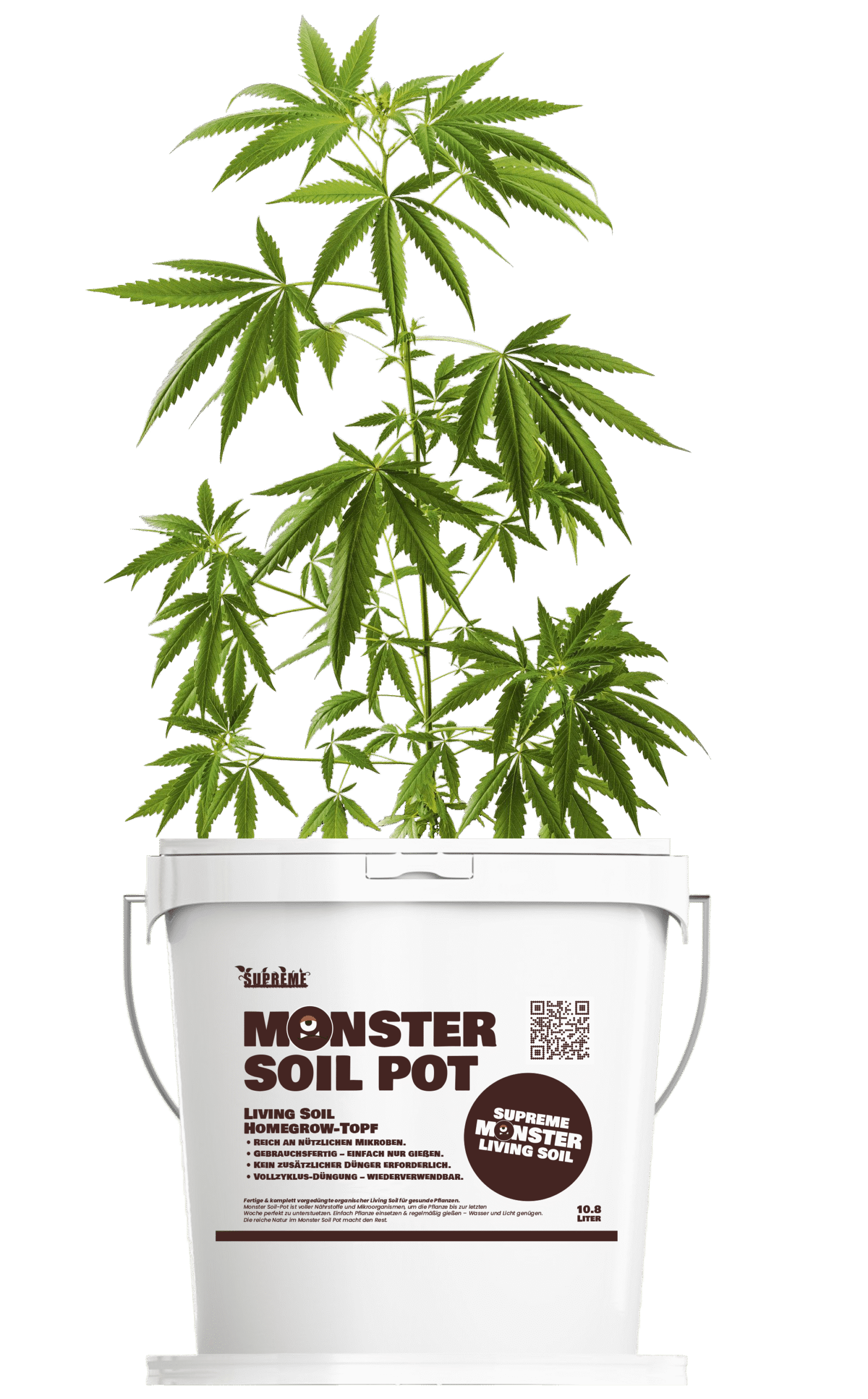 Monster Soil living soil homegrow pot with a young plant
