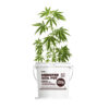 Monster Soil living soil homegrow pot with a young plant