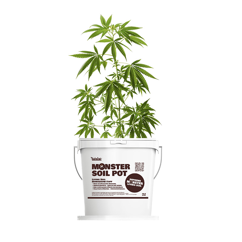 Monster Soil living soil homegrow pot with a young plant