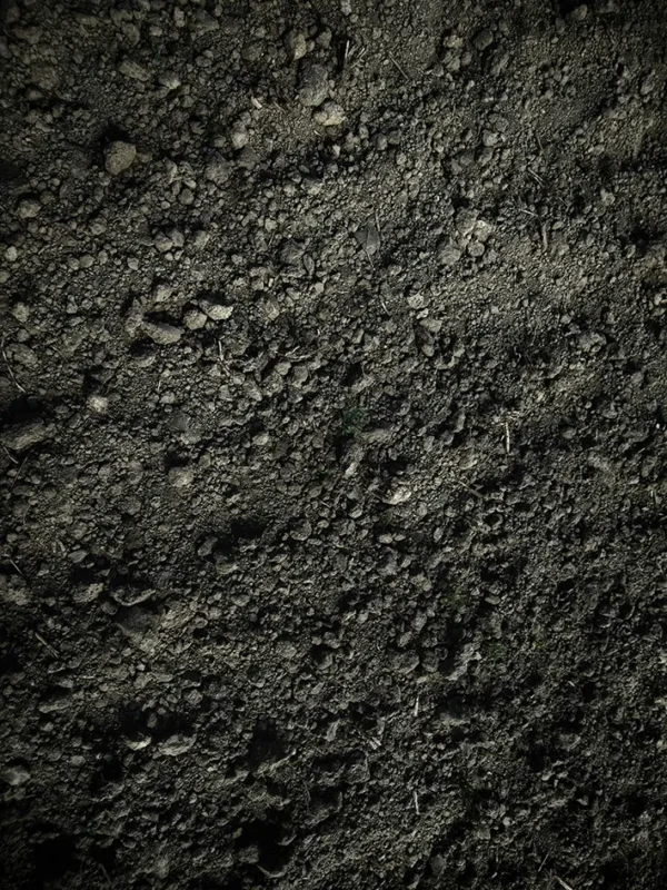 Dark soil texture