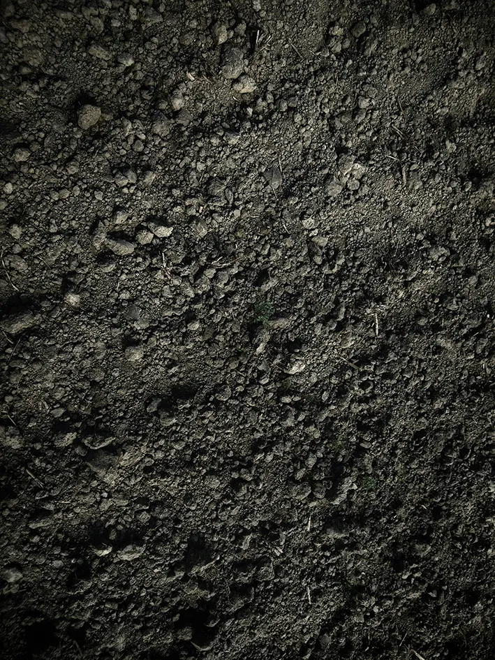 Dark soil texture