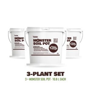 Monster Soil Pot set de 3 plantas: tres macetas de living soil de 10,8 L