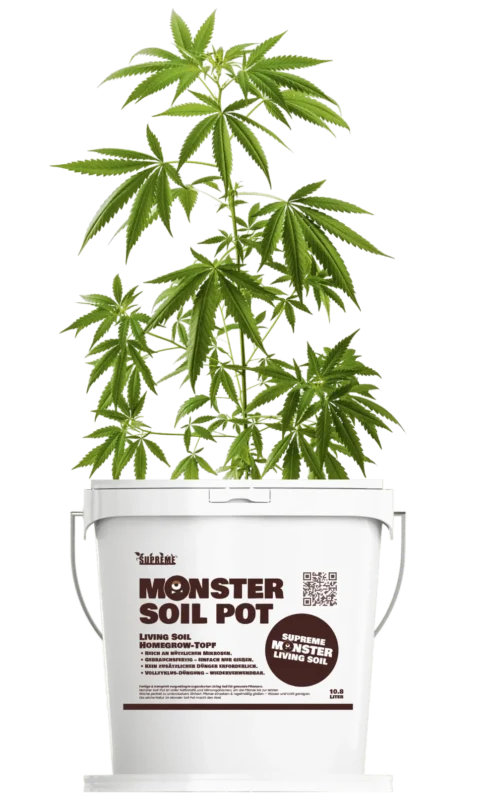 Living soil for beginners: Monster Soil homegrow pot with a young plant
